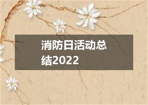 消防日活动总结2022
