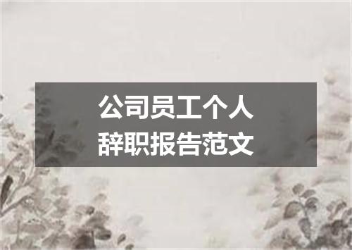 公司员工个人辞职报告范文