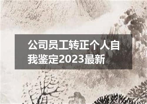 公司员工转正个人自我鉴定2023最新