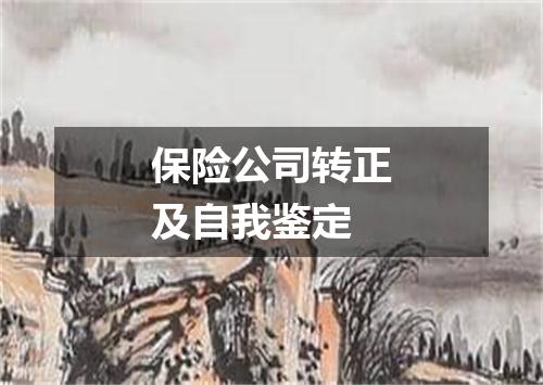 保险公司转正及自我鉴定