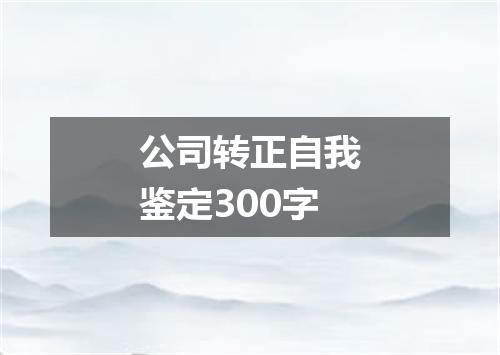 公司转正自我鉴定300字