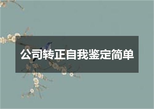 公司转正自我鉴定简单