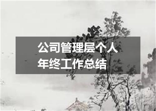 公司管理层个人年终工作总结