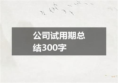 公司试用期总结300字