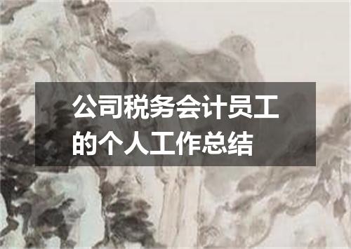 公司税务会计员工的个人工作总结