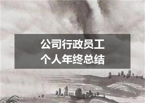 公司行政员工个人年终总结
