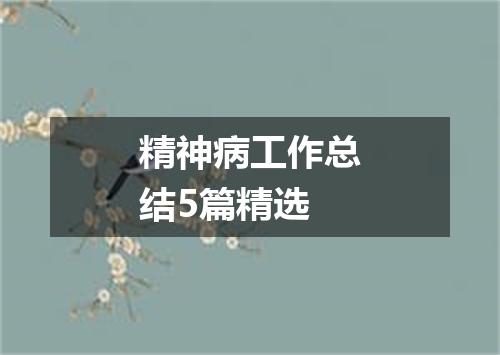 精神病工作总结5篇精选