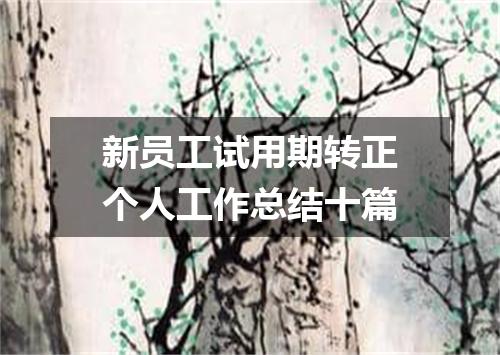 新员工试用期转正个人工作总结十篇