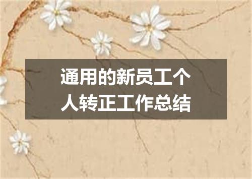 通用的新员工个人转正工作总结