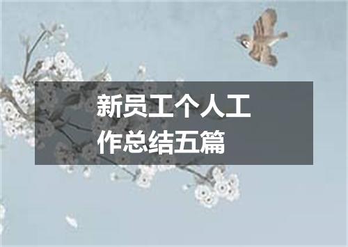 新员工个人工作总结五篇
