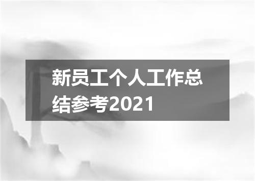 新员工个人工作总结参考2021