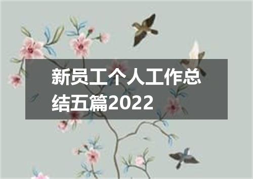 新员工个人工作总结五篇2022