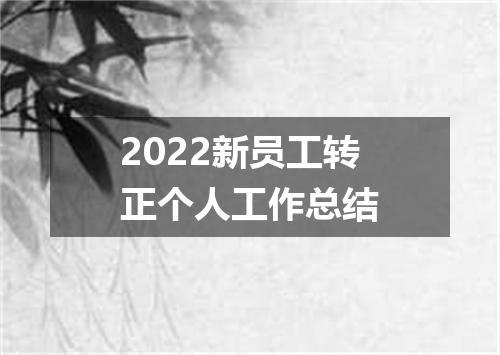 2022新员工转正个人工作总结