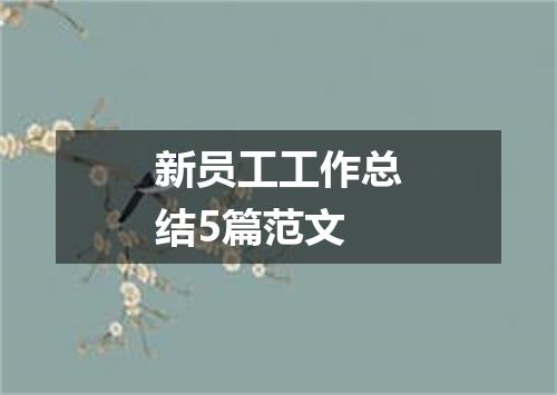 新员工工作总结5篇范文