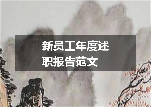 新员工年度述职报告范文