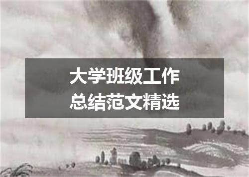 大学班级工作总结范文精选