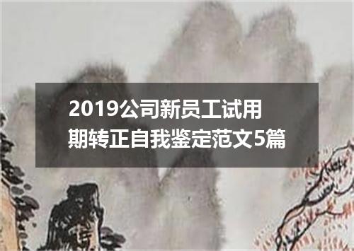 2019公司新员工试用期转正自我鉴定范文5篇