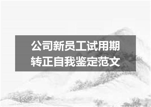 公司新员工试用期转正自我鉴定范文
