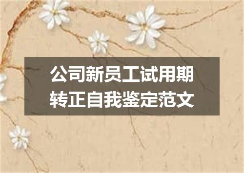 公司新员工试用期转正自我鉴定范文