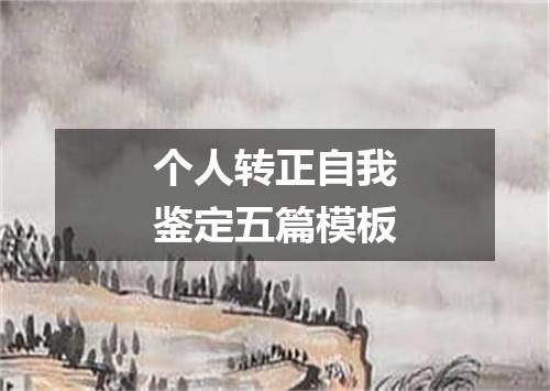 个人转正自我鉴定五篇模板