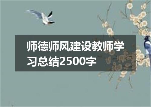 师德师风建设教师学习总结2500字