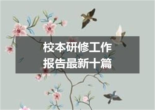 校本研修工作报告最新十篇
