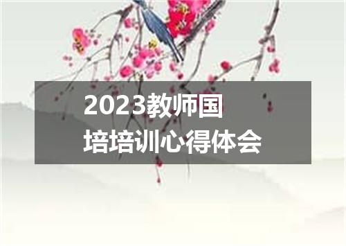 2023教师国培培训心得体会