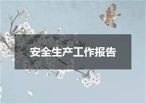 安全生产工作报告