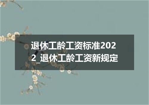 退休工龄工资标准2022_退休工龄工资新规定
