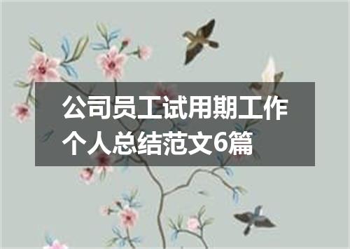 公司员工试用期工作个人总结范文6篇