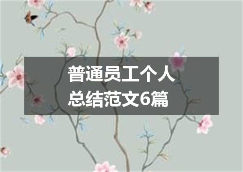 普通员工个人总结范文6篇