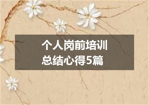 个人岗前培训总结心得5篇