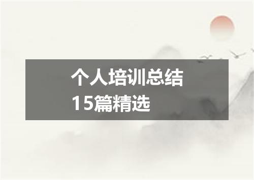 个人培训总结15篇精选