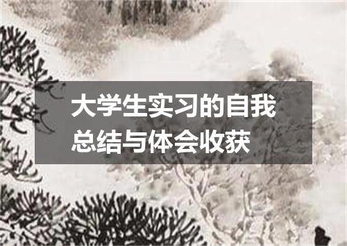 大学生实习的自我总结与体会收获