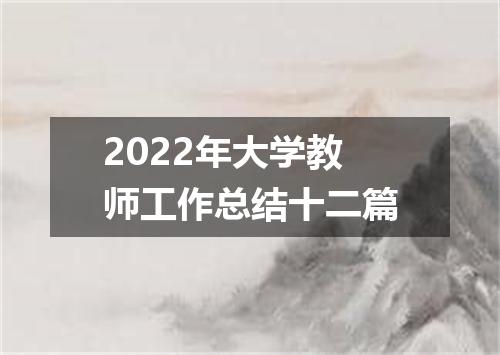 2022年大学教师工作总结十二篇