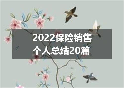 2022保险销售个人总结20篇