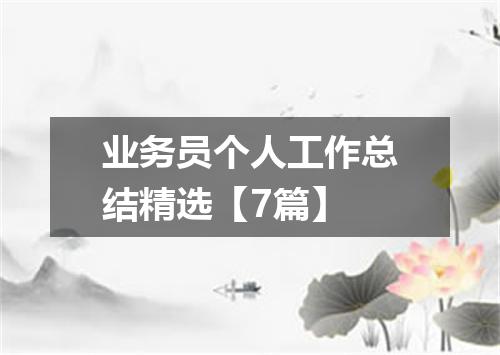 业务员个人工作总结精选【7篇】