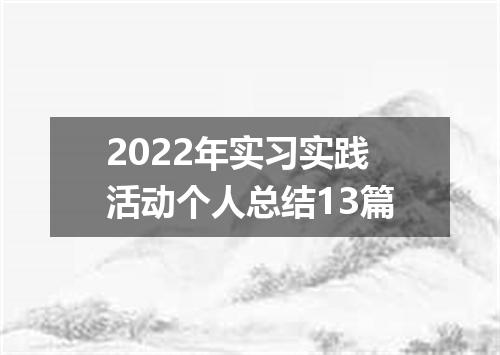 2022年实习实践活动个人总结13篇