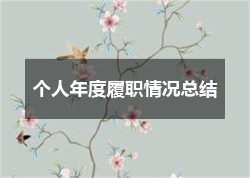 个人年度履职情况总结