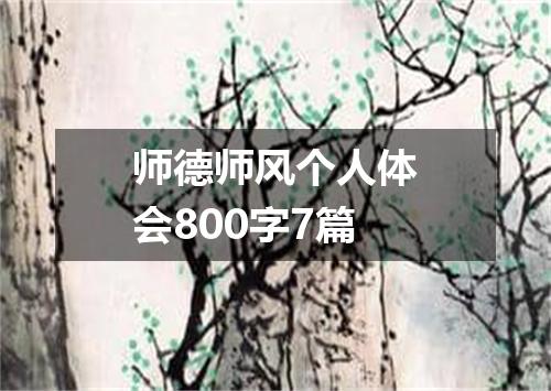 师德师风个人体会800字7篇
