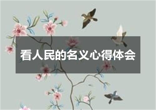 看人民的名义心得体会