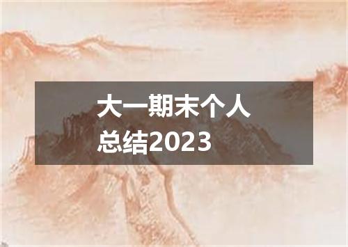 大一期末个人总结2023