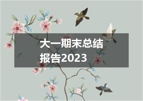 大一期末总结报告2023