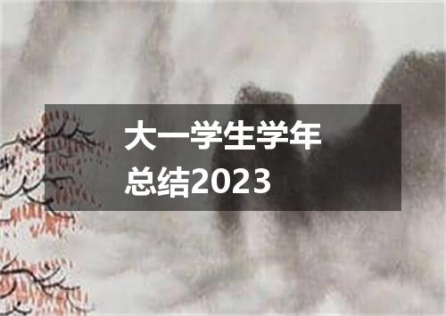 大一学生学年总结2023