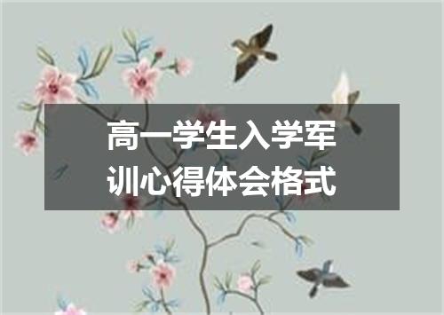 高一学生入学军训心得体会格式