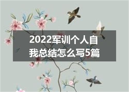 2022军训个人自我总结怎么写5篇