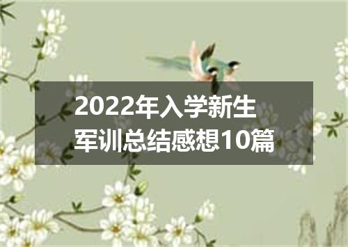 2022年入学新生军训总结感想10篇
