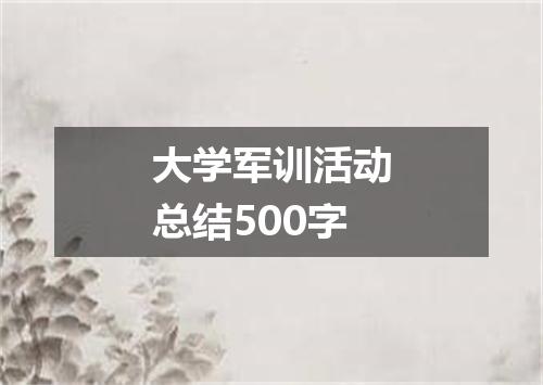 大学军训活动总结500字