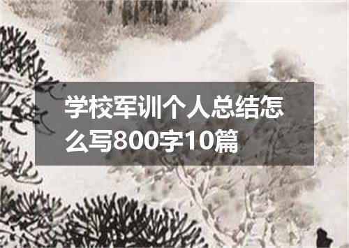 学校军训个人总结怎么写800字10篇