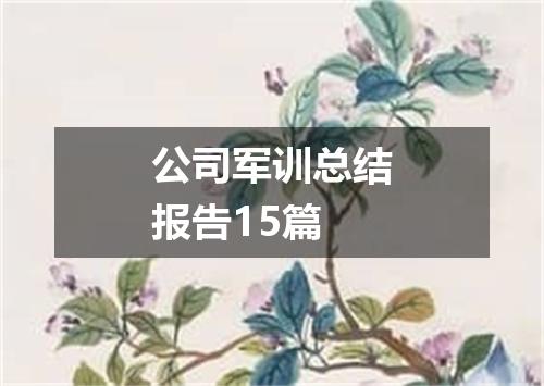 公司军训总结报告15篇